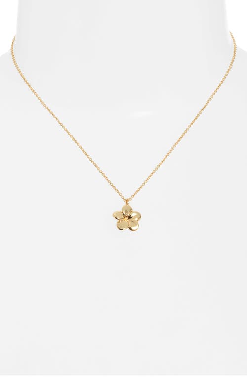 Kiara By Ki-ele Melia Plumeria Pendant Necklace In Gold