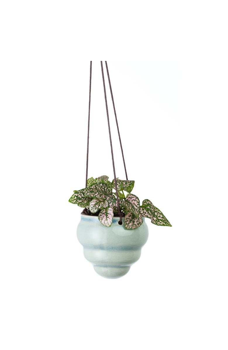 Burgon & Ball Hanging Baby Bombini Trio Vases, Alternate, color, Stone