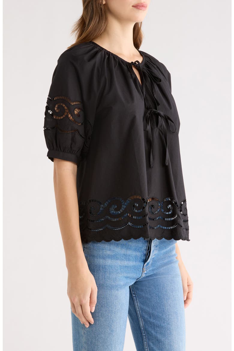 Catalene Embroidered Eyelet Cotton Peasant Top, Alternate, color, BLACK EMBROIDERY