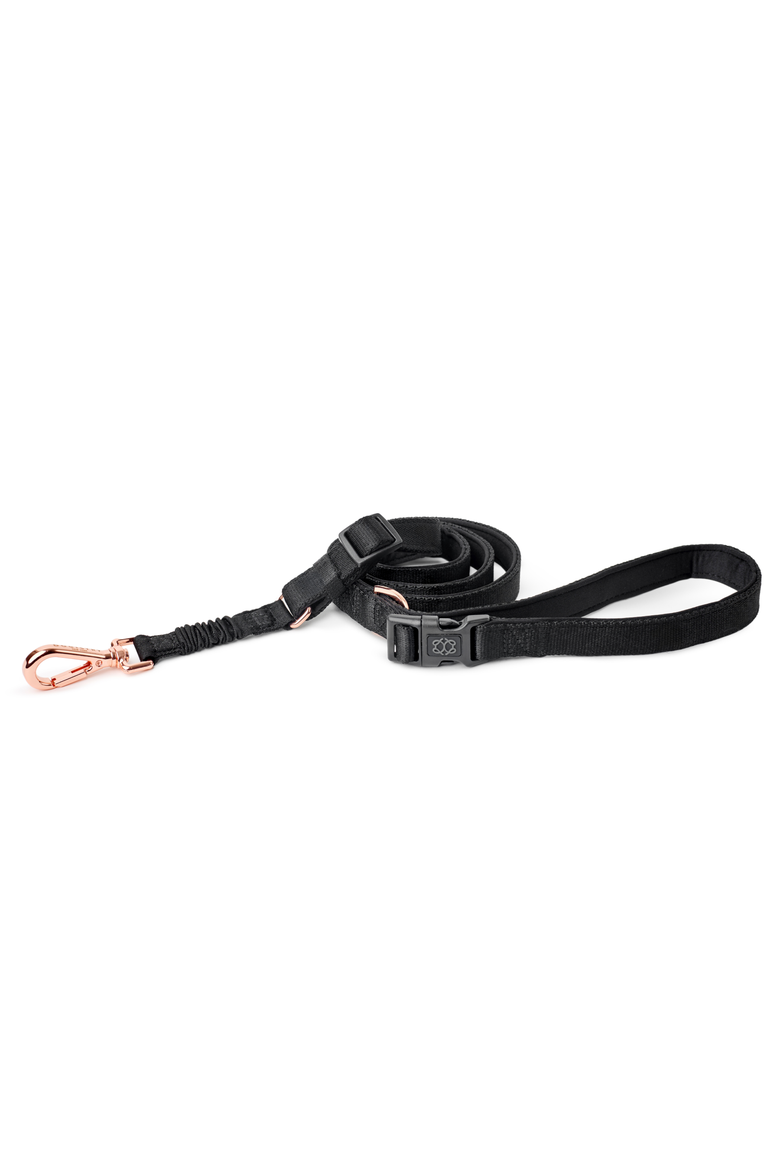City Dog Leash, Main, color, Rockstar - Small