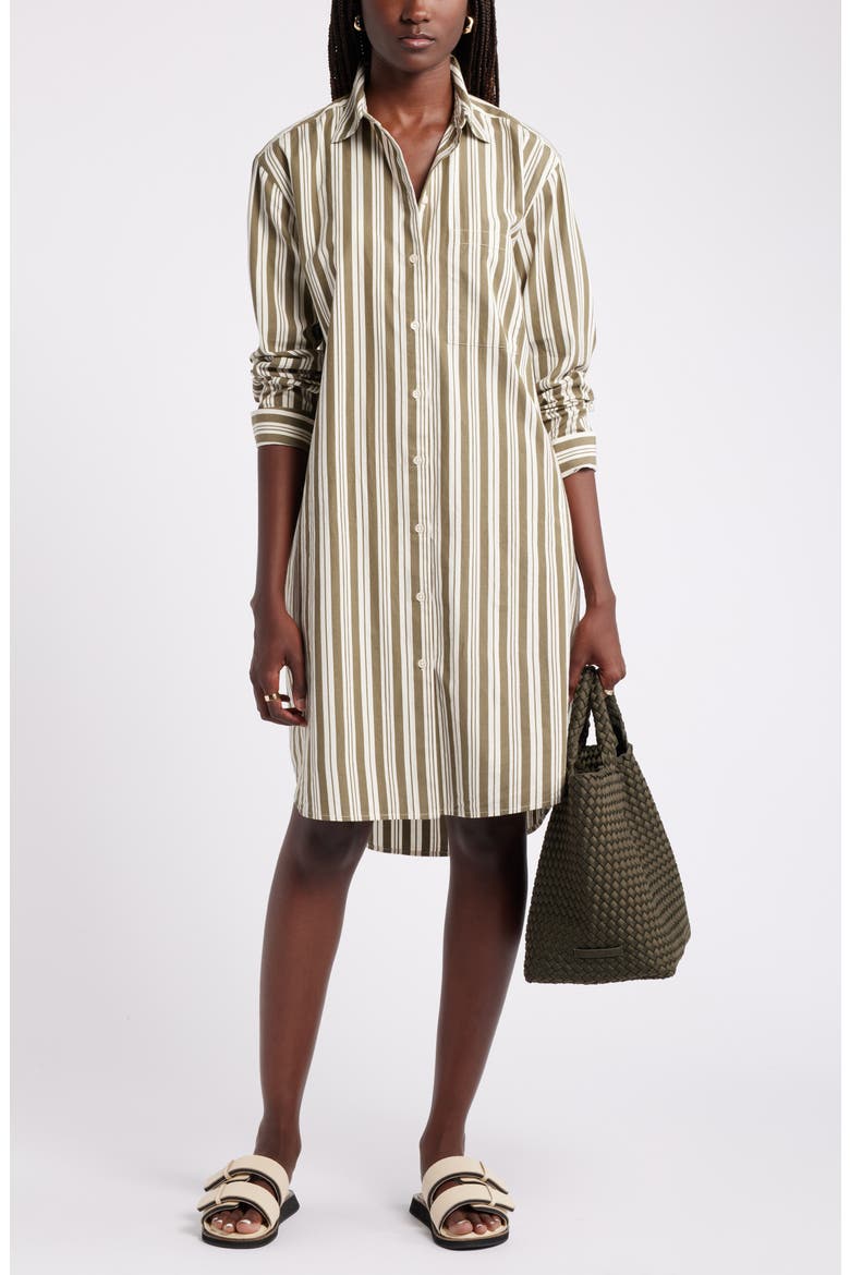 Stripe Long Sleeve Cotton Shirtdress, Alternate, color, OLIVE- IVORY LEON STRIPE