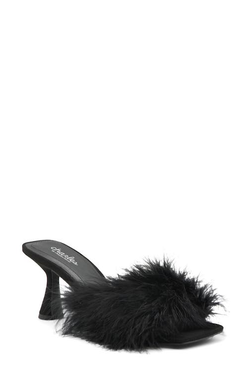 Charles by Charles David Pazazz Slide Sandal in Black 