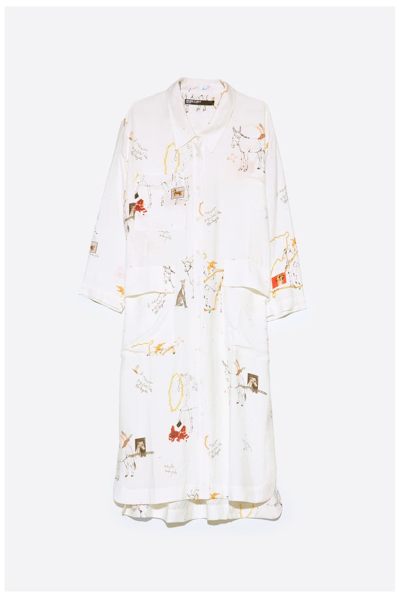 Chain Print Midi Shirt Dress, Alternate, color, COLLAGE ANIMAL CHAIN