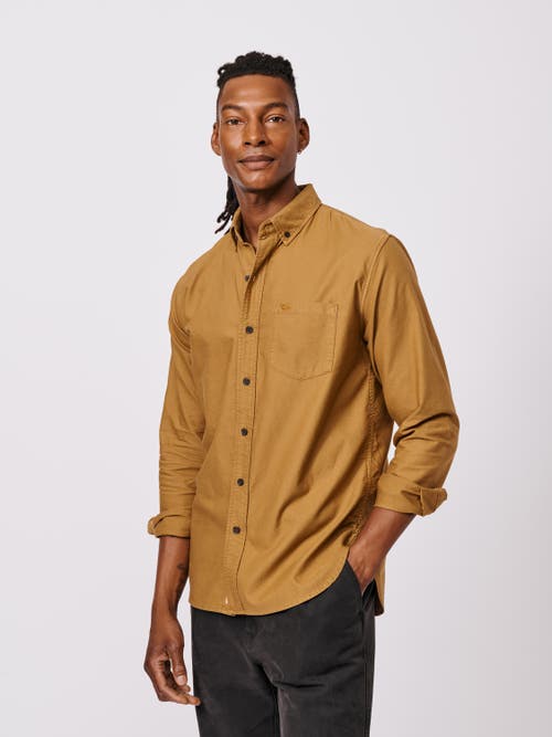 Aubin Aldridge Oxford Button Down Shirt In Yellow