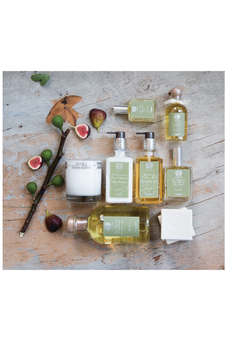 'Fig Leaf' Hand & Body Wash, Alternate, color, NO COLOR