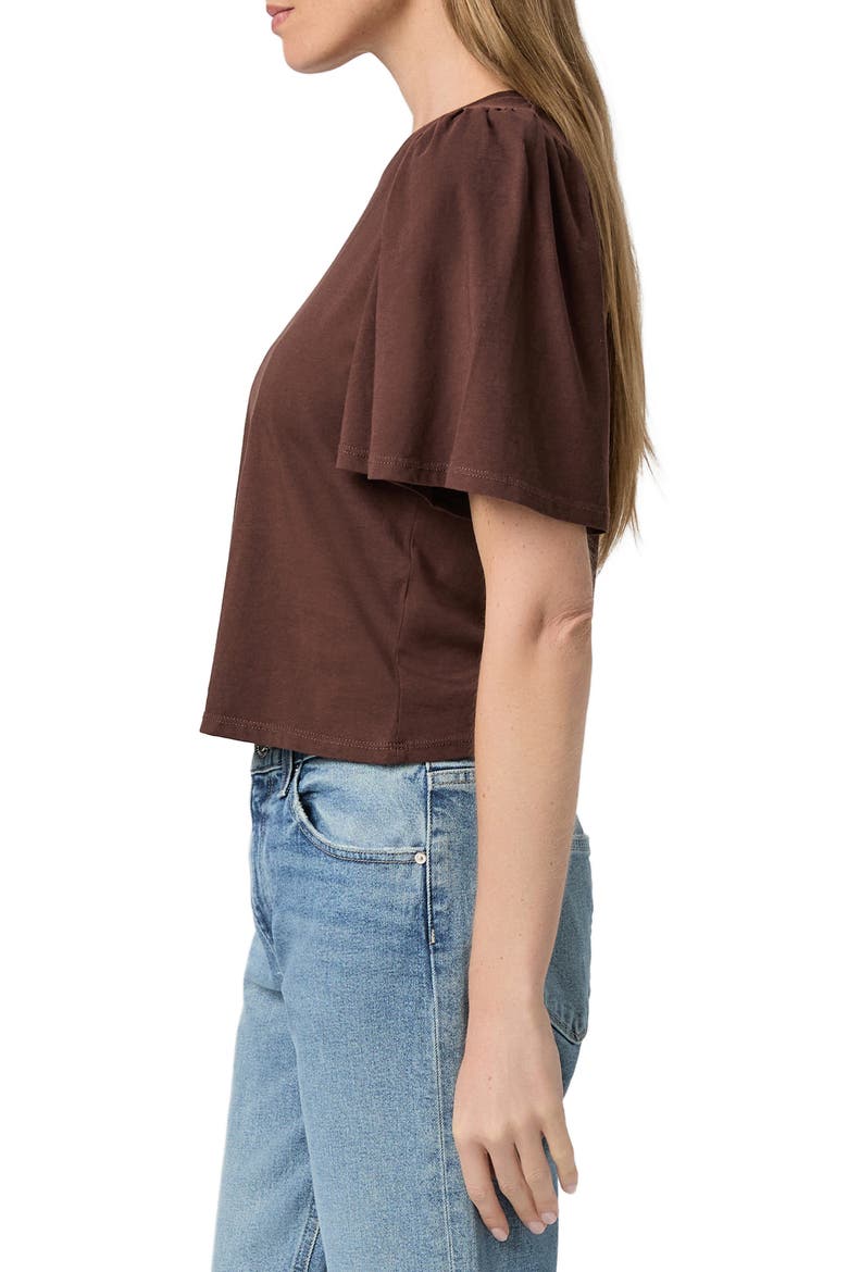 Sigrid Cotton T-Shirt, Alternate, color, TAMARIND