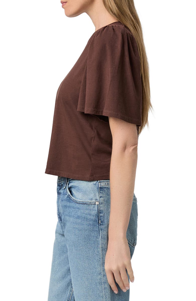 PAIGE Sigrid Cotton T-Shirt, Alternate, color, Tamarind