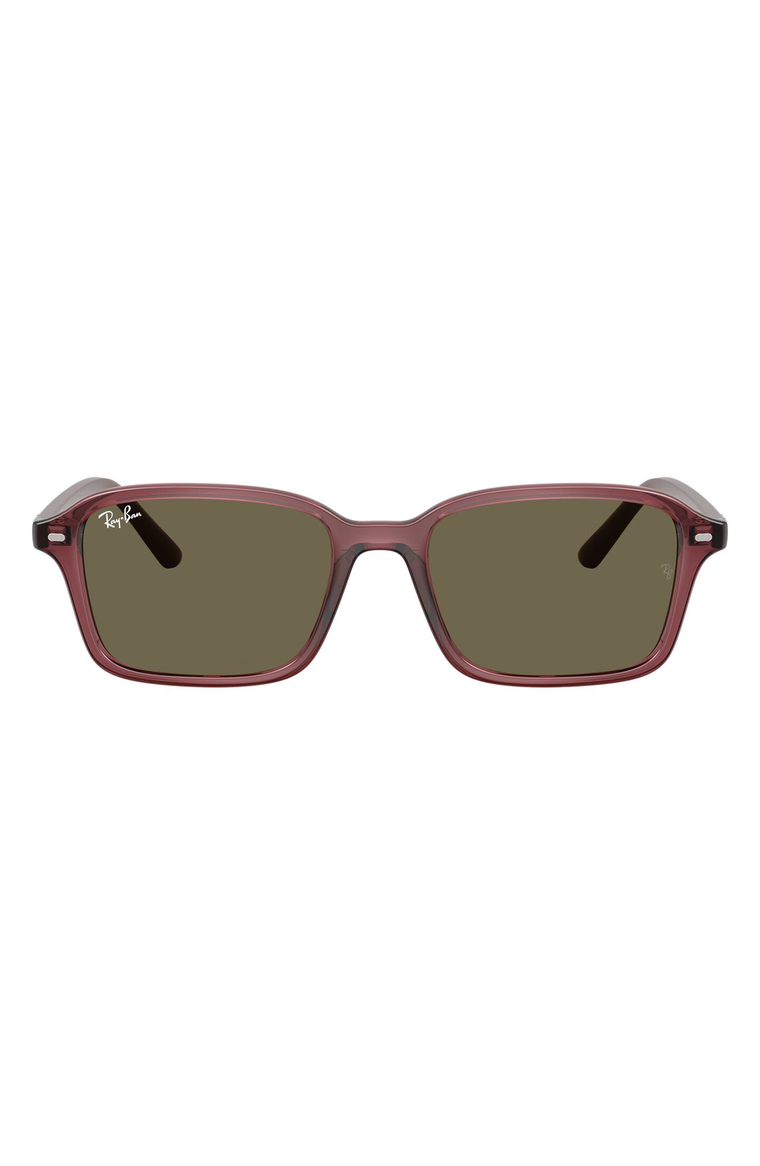 TRANSPARENT VIOLET / BROWN