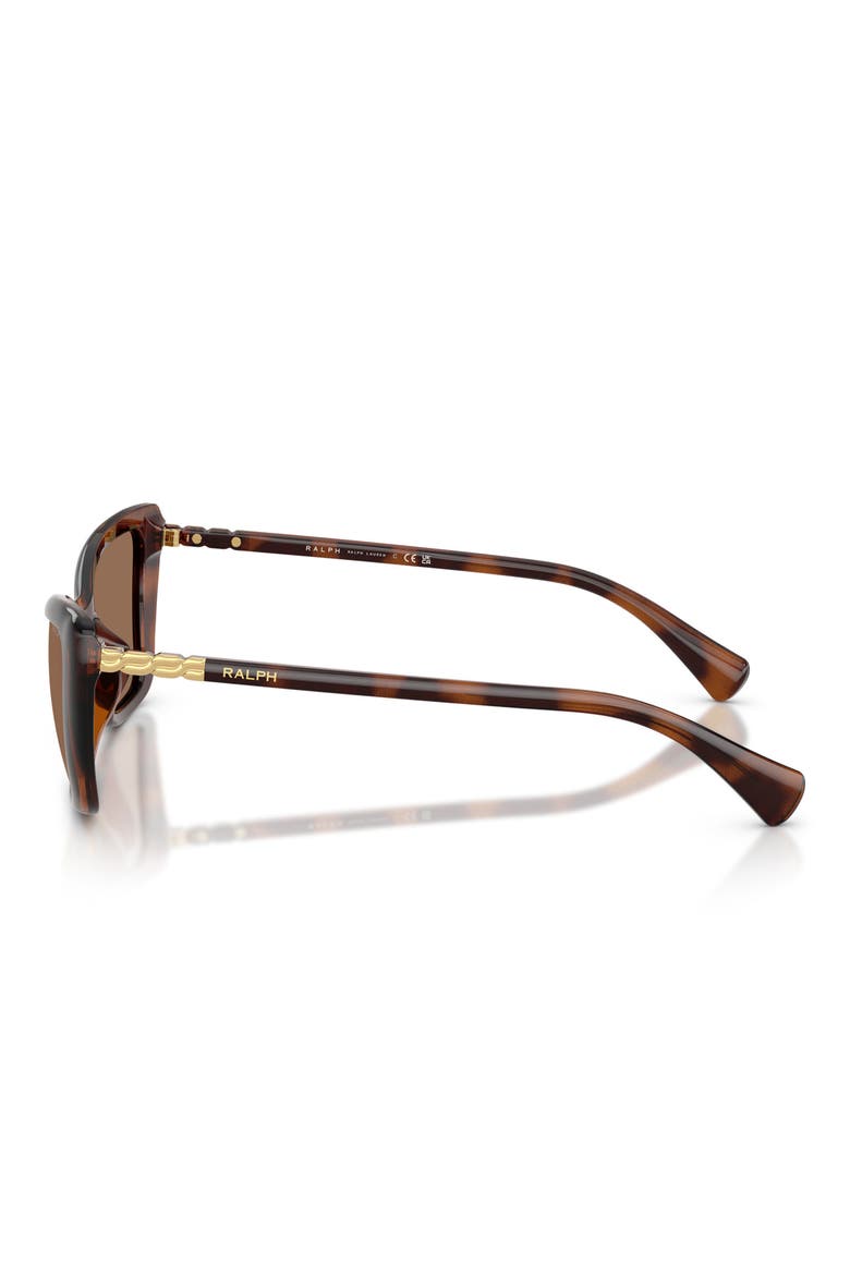 56mm Cat Eye Sunglasses, Alternate, color, SHINY DARK HAVANA / BROWN