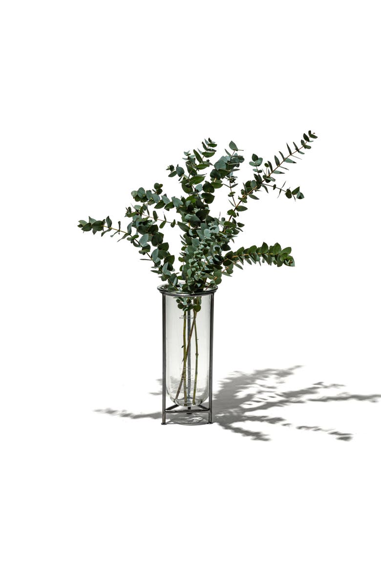 Glass Tube With Stand, Alternate, color, Clear