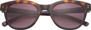 Ted Baker London 52mm Cat Eye Sunglasses