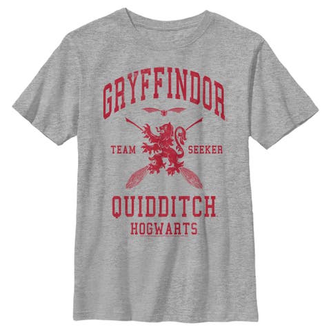 Boy's Harry Potter Gryffindor Quidditch Team Seeker  Graphic T-Shirt