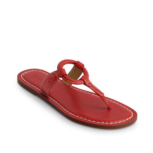 BERNARDO FOOTWEAR BERNARDO FOOTWEAR MATRIX 2 THONG SANDAL