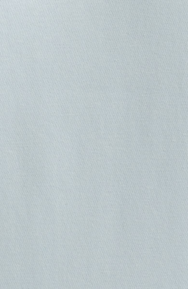 PacSun Embroidered Seashell Cotton Blend Hoodie, Alternate, color, Light Blue