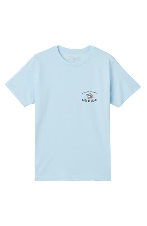 O'neill Kids' Surf Cats Graphic T-shirt In Blue