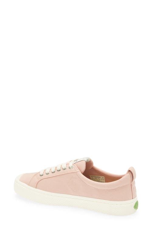 Cariuma Ladies Oca Low Lace-up Canvas Trainers In Pink