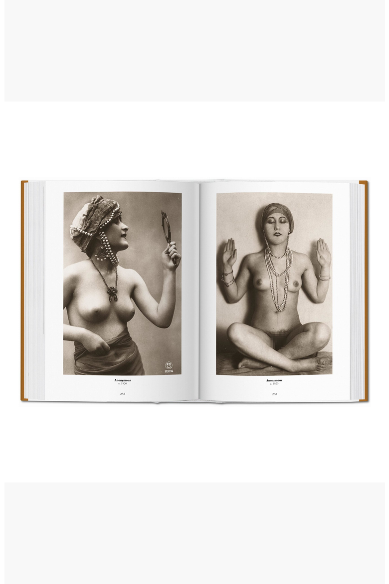 A History of Photography 1839-1939 Book, Alternate, color, Golden Brown