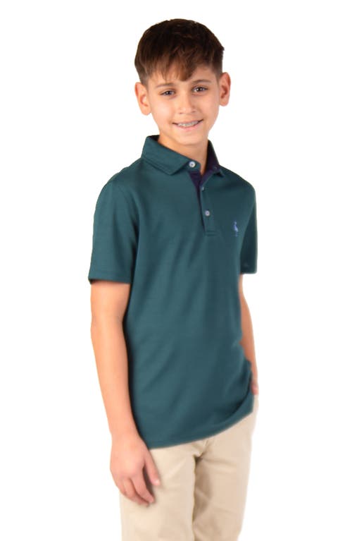 Tailorbyrd Kids' Solid Knit Polo In Green