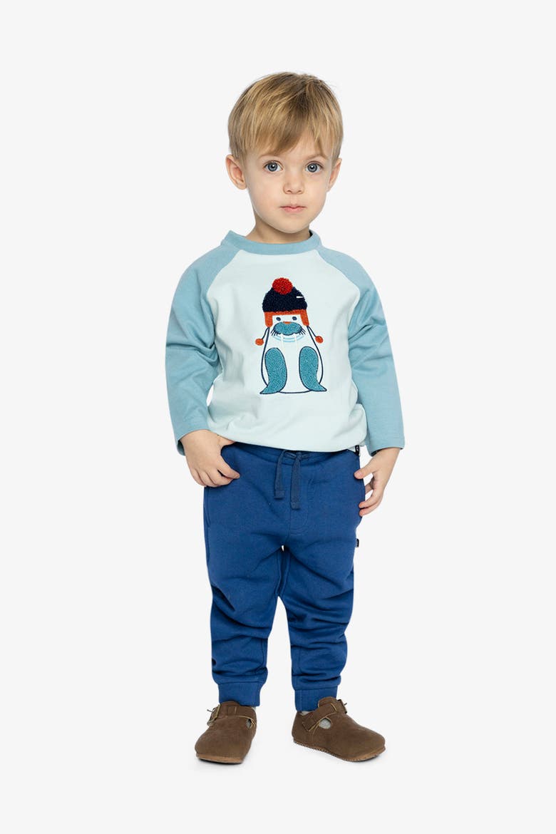 Organic Cotton Raglan Sleeve Walrus Graphic Long Sleeve T-Shirt, Alternate, color, Very Pale Turquoise