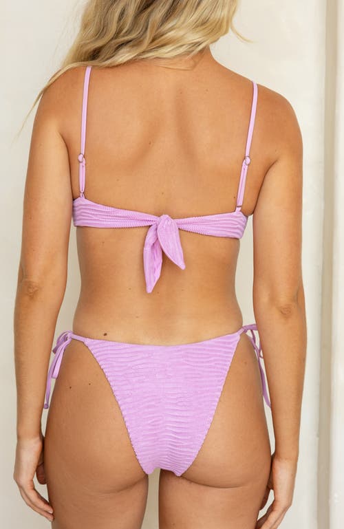 Dippin Daisys Bora Cheeky Bikini Bottom In Bloom