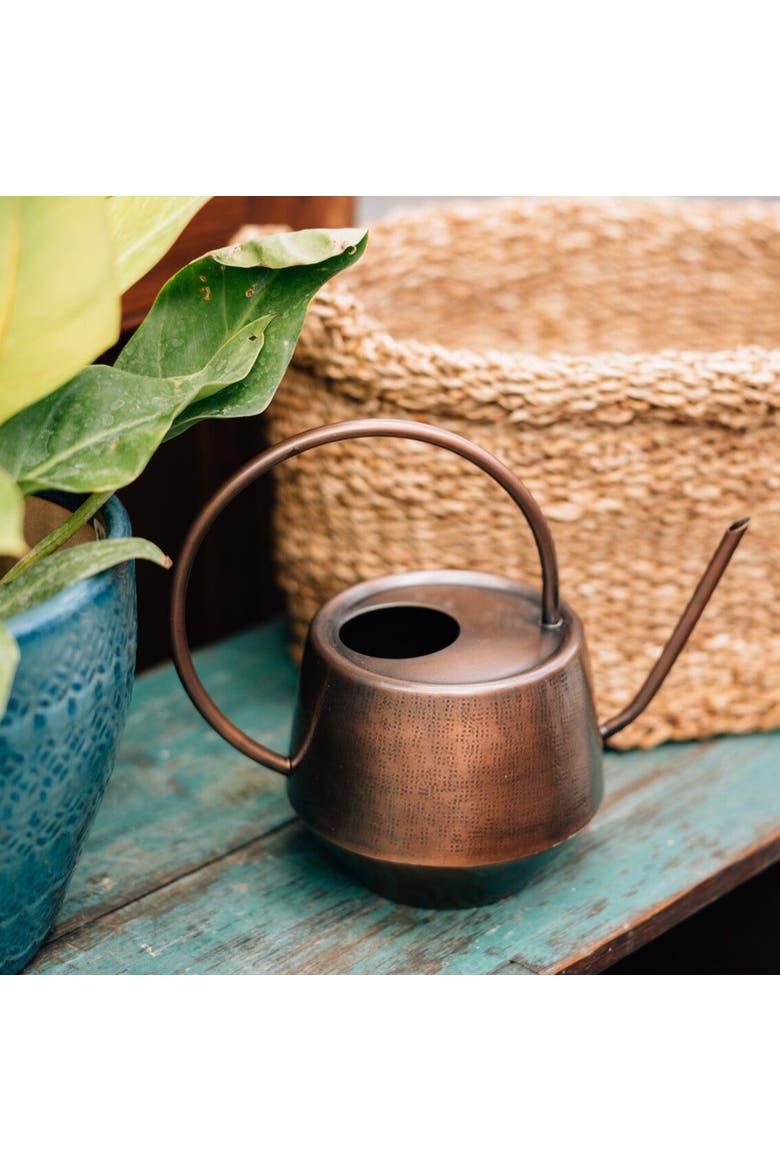 Antique Copper Watering Can, Alternate, color, Brown