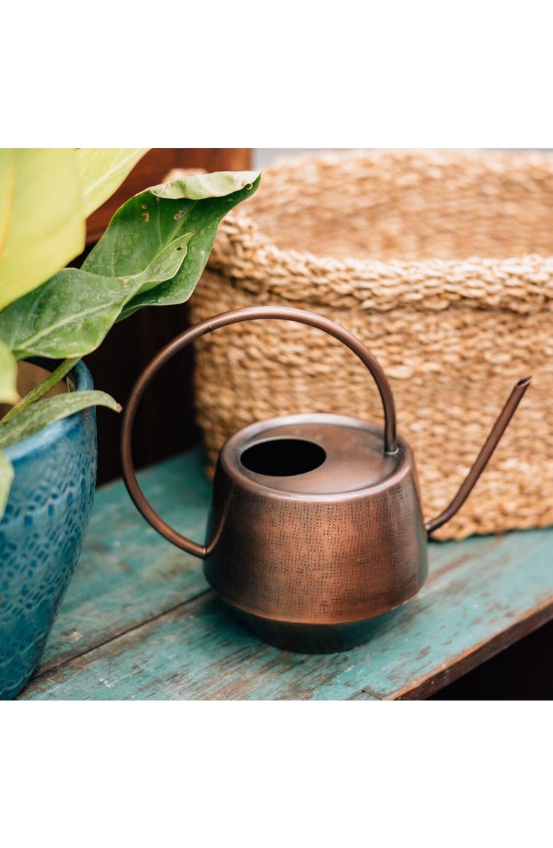 Ten Thousand Villages Antique Copper Watering Can, Alternate, color,