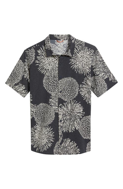 Roark Bless Up Short Sleeve Button-up Shirt In Multi