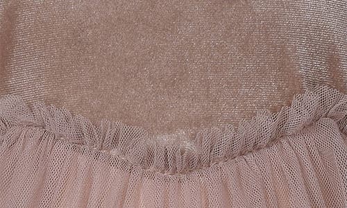 Iris & Ivy Long Sleeve Velvet & Mesh Tiered Party Dress In Brown