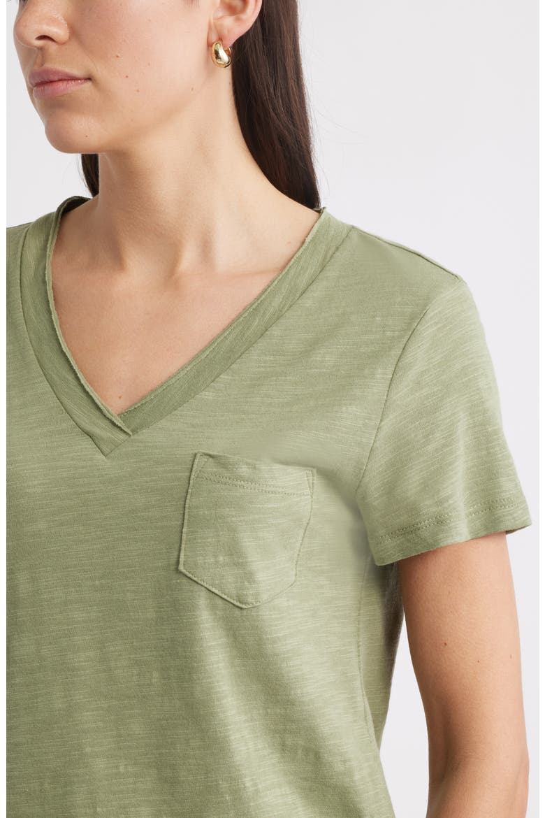 Cotton & Modal V-Neck T-Shirt, Alternate, color, OLIVE ACORN