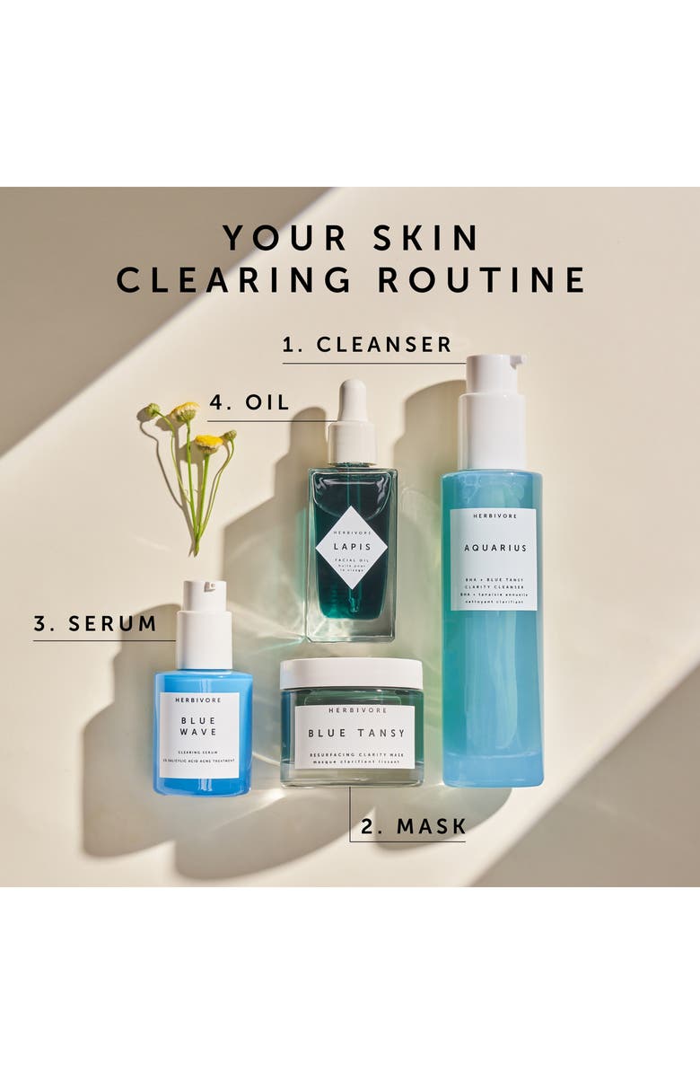 Herbivore Botanicals Blue Tansy BHA + Enzyme Pore Refining Mask, Alternate, color, 