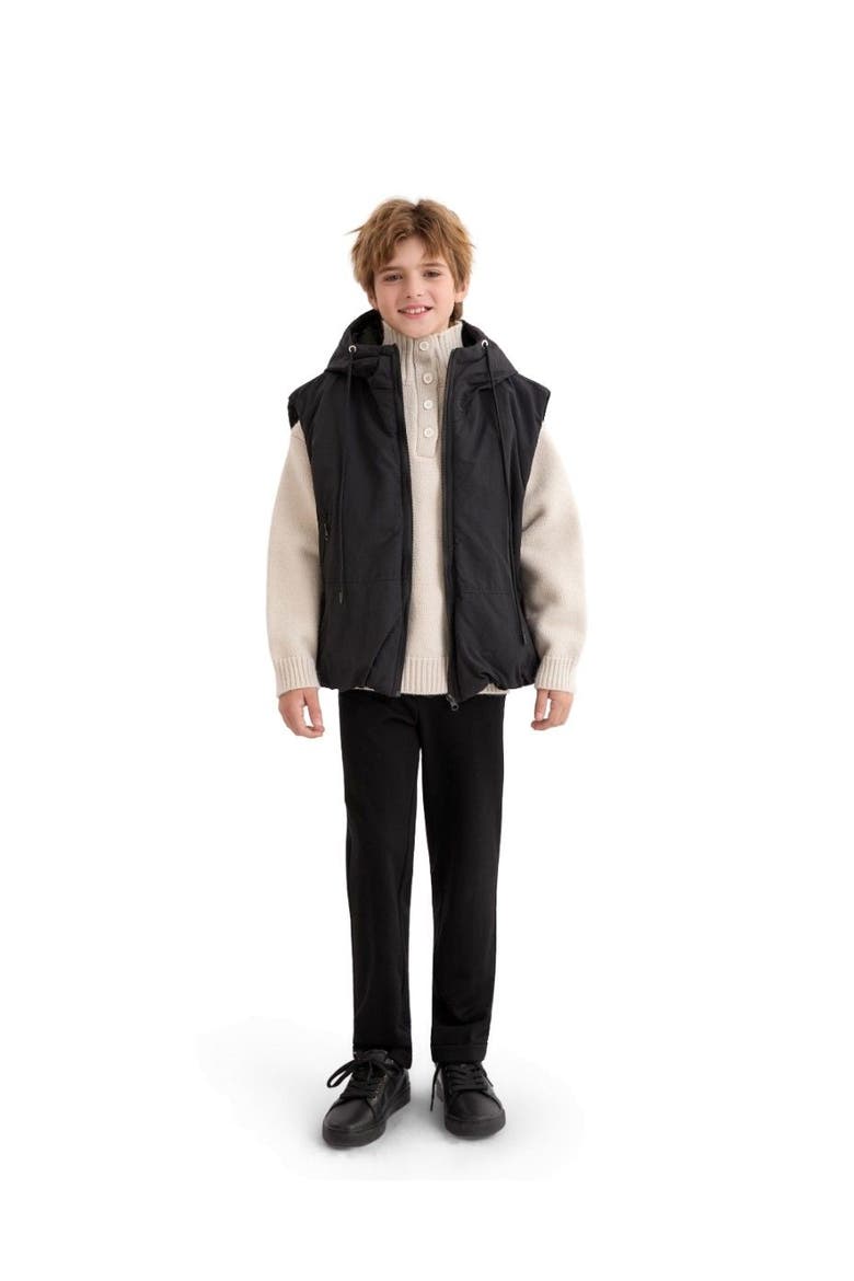 Hooded Puffer Vest, Alternate, color, Black