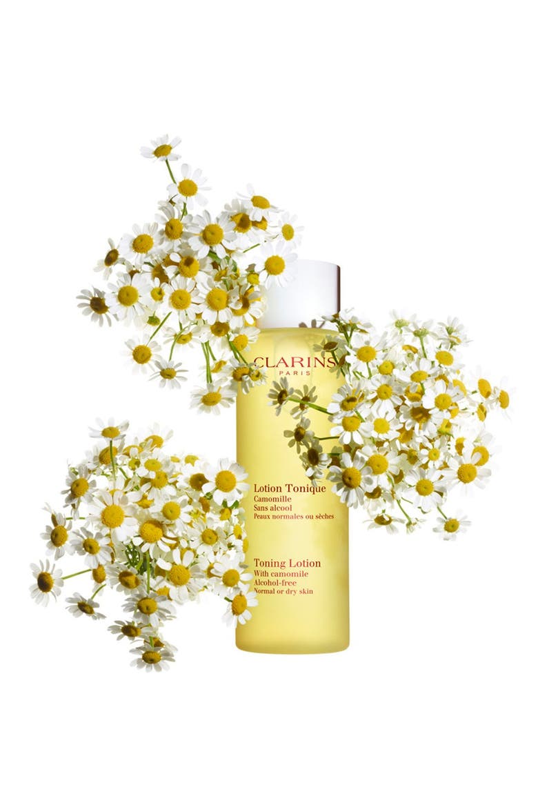 Toning Lotion for Dry/Normal Skin, Alternate, color, NO COLOR
