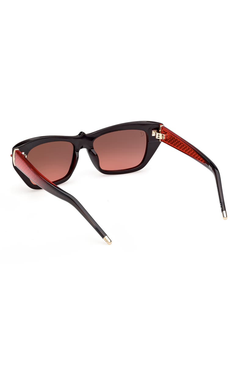 Christian Louboutin 52mm Cat Eye Sunglasses, Alternate, color, 