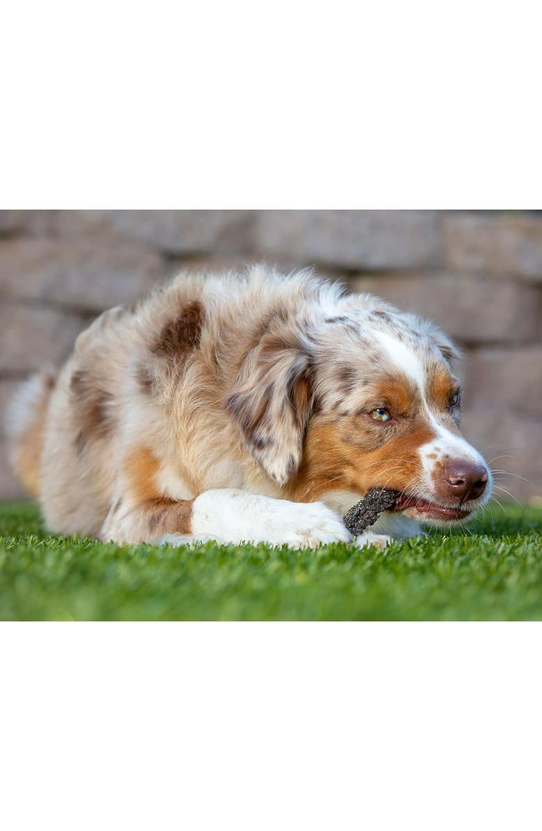 Scout & Zoe's Lamb Green Tripe, 3oz Dog Treats, Dehydrated Single Ingredient, Alternate, color,