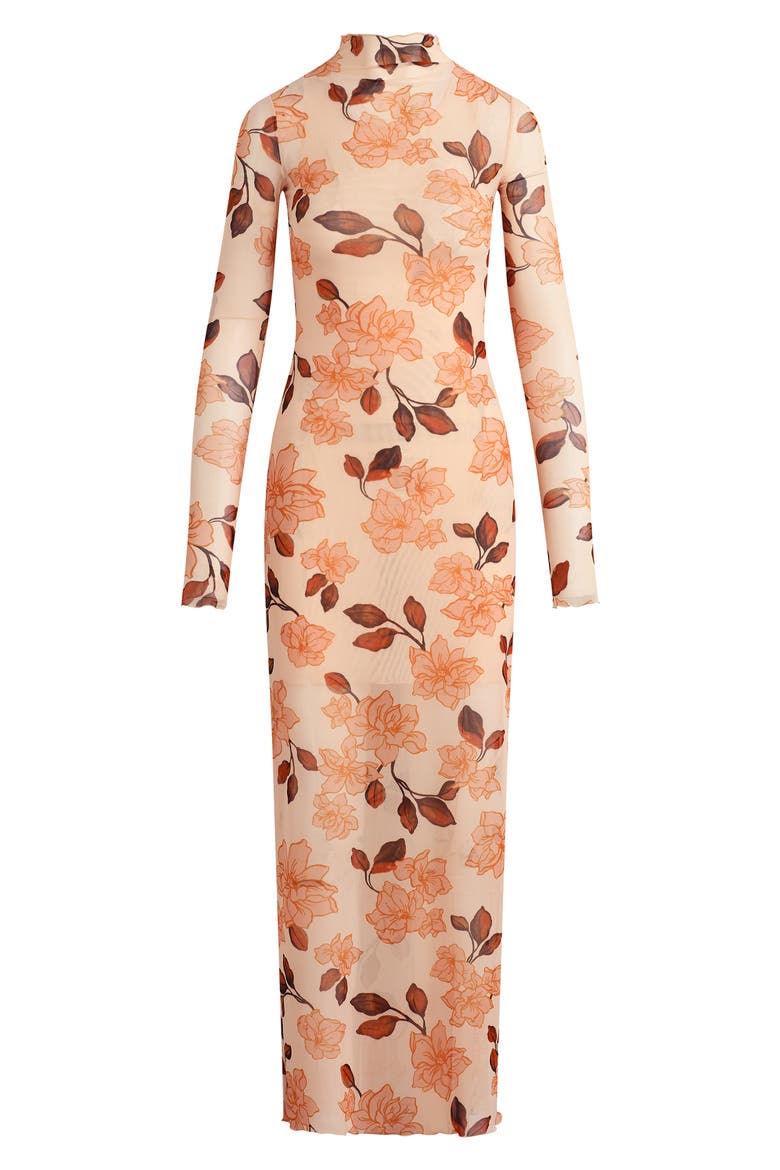 The Sheer Fantasy Floral Long Sleeve Mesh Maxi Dress, Alternate, color, BARE ROSES