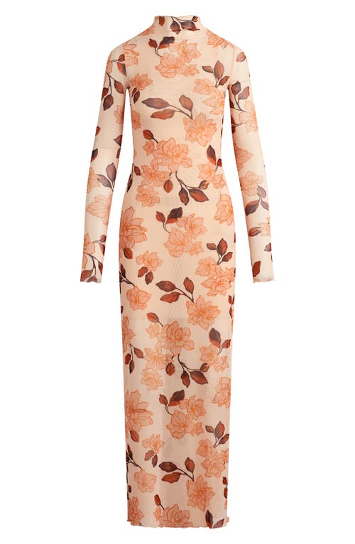 Favorite Daughter The Sheer Fantasy Floral Long Sleeve Mesh Maxi Dress In Brown