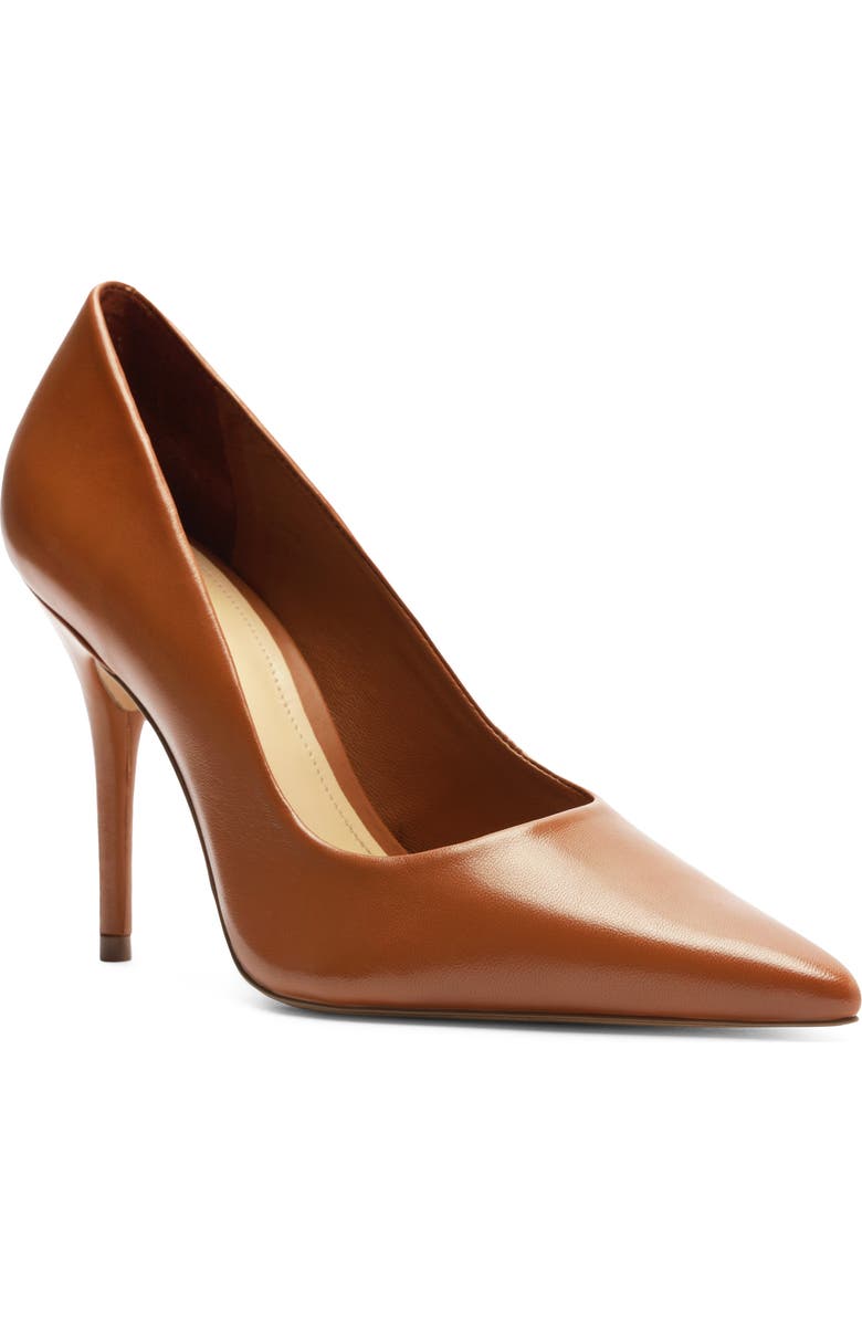 Arezzo Emily Pointed Toe Pump, Main, color,