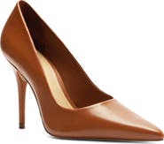 Arezzo Emily Pointed Toe Pump