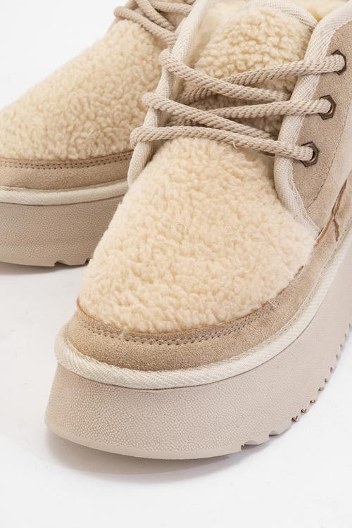 Prologue Shoes Tyson Lace Up Boot In Brown