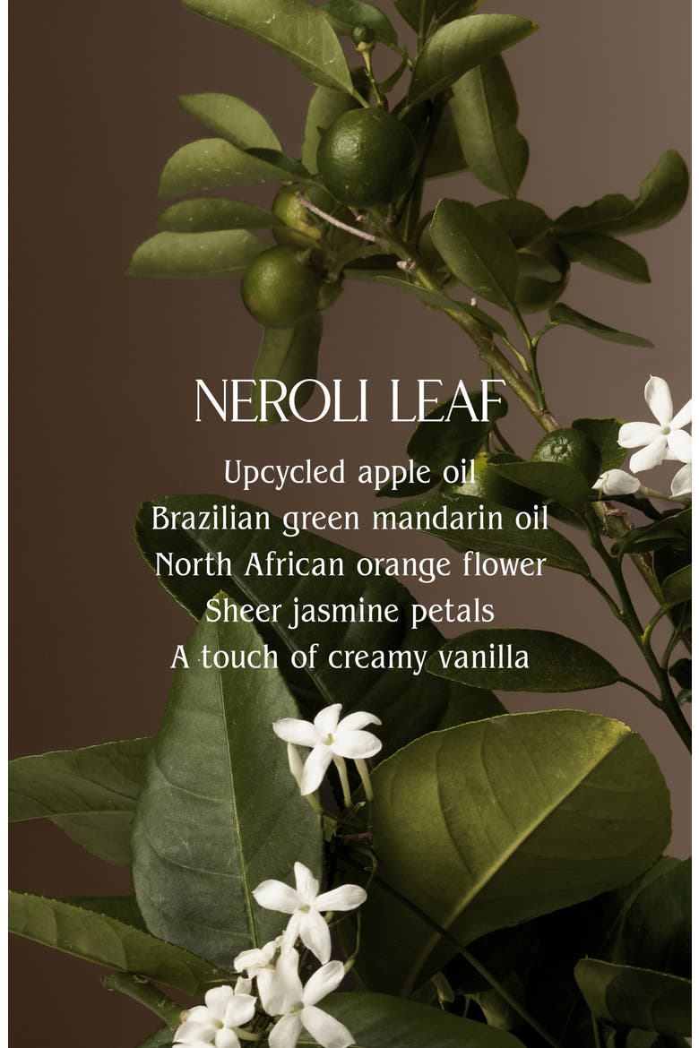 Laundry Concentrate, Alternate, color, NEROLI LEAF
