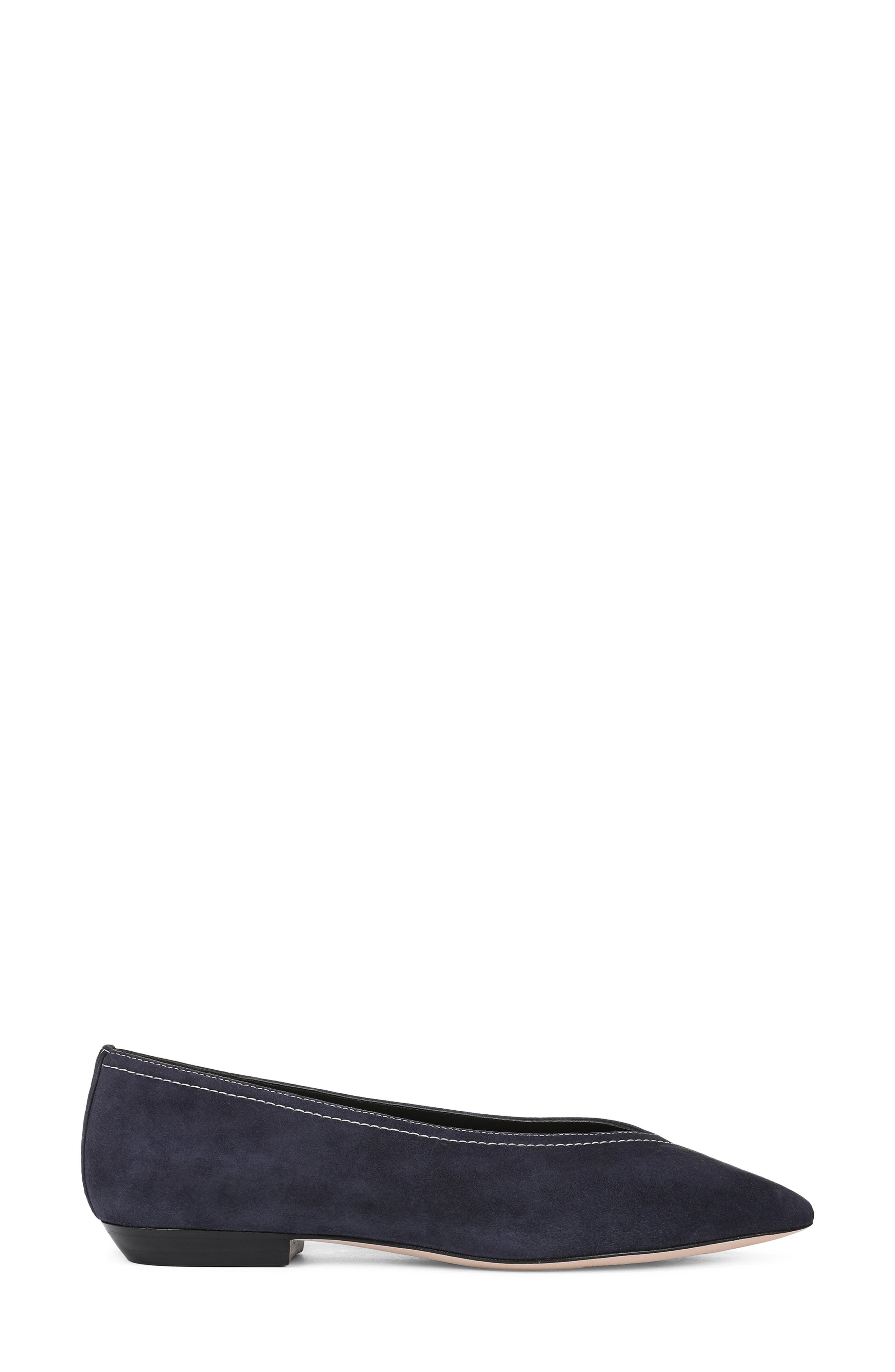 Bancroft Pointed Toe Flat, Alternate, color, NAVY