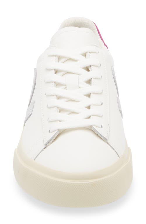 Veja Campo Sneaker In Multi