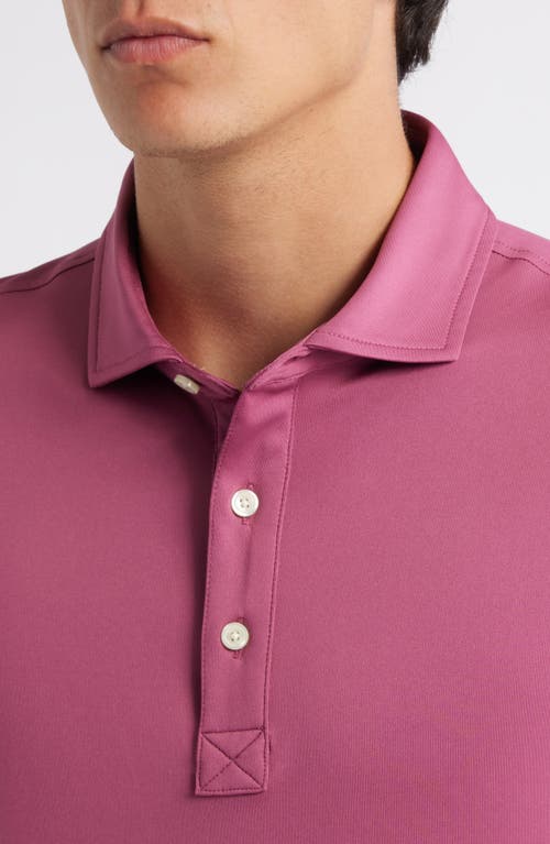 Brooks Brothers Solid Performance Series Polo In Pink