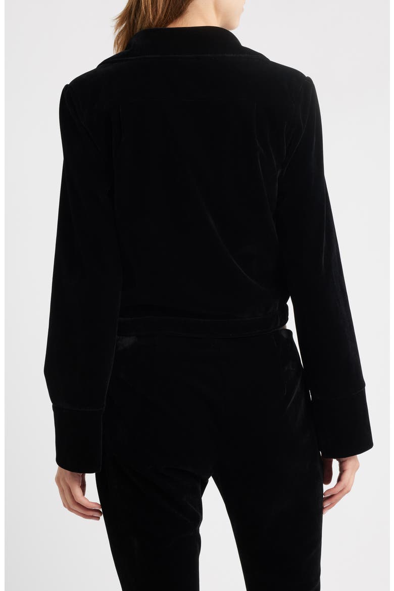 The Madi Velveteen Crop Jacket, Alternate, color, BLACK