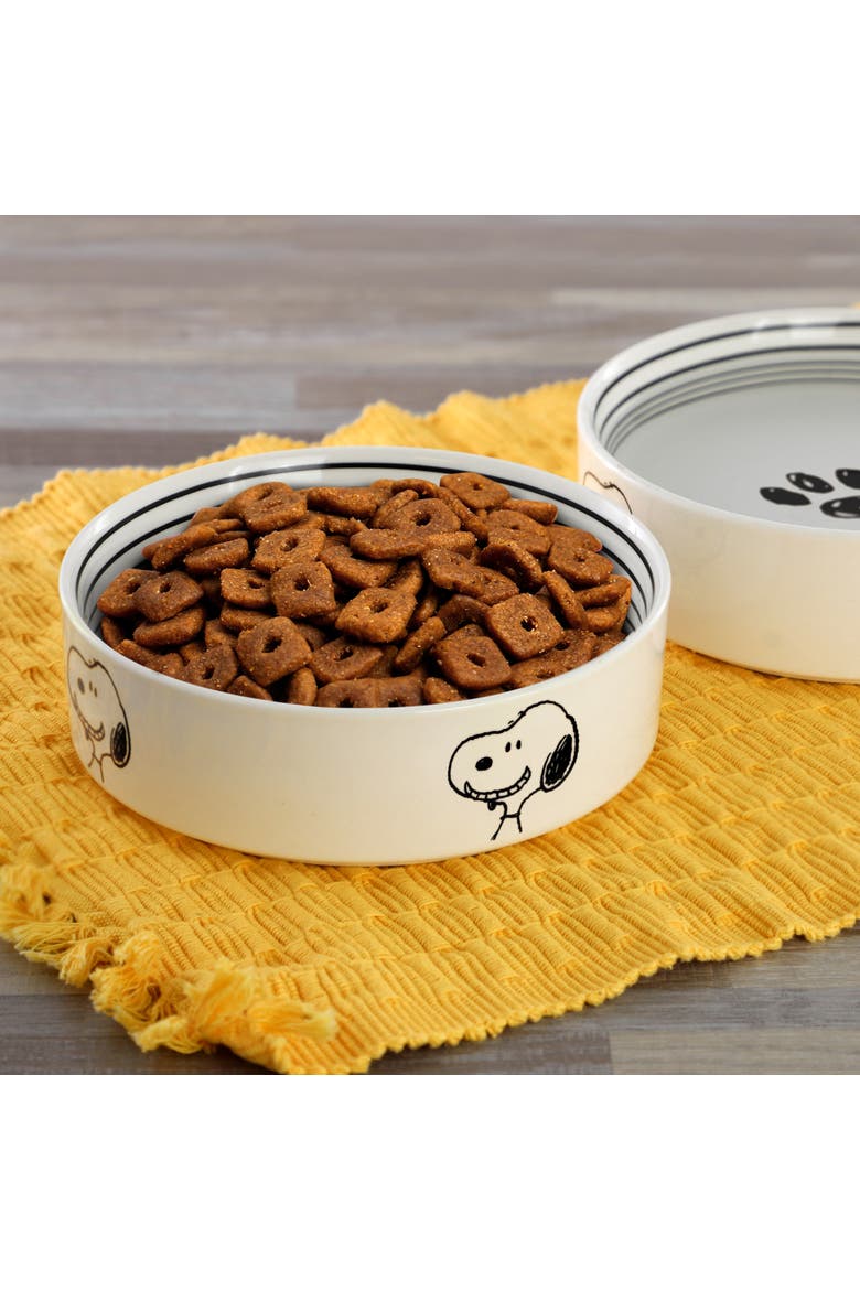 Suppertime Favorites 6.5in Stoneware Pet Bowl, Alternate, color, White