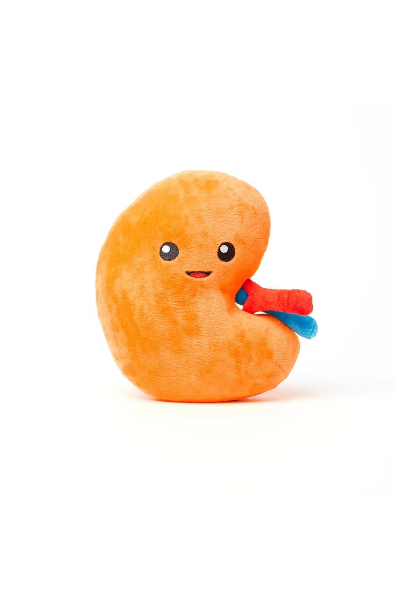 Kidney Plushie Organ, Main, color, Bright Orange