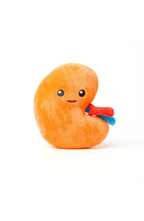 Kidney Plushie Organ