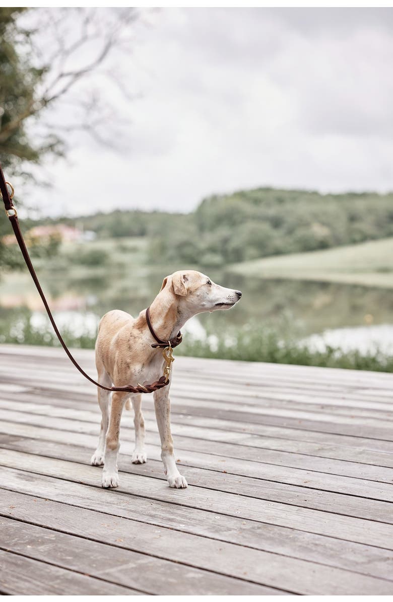 OYOY Robin Dog Leash, Alternate, color, Choko