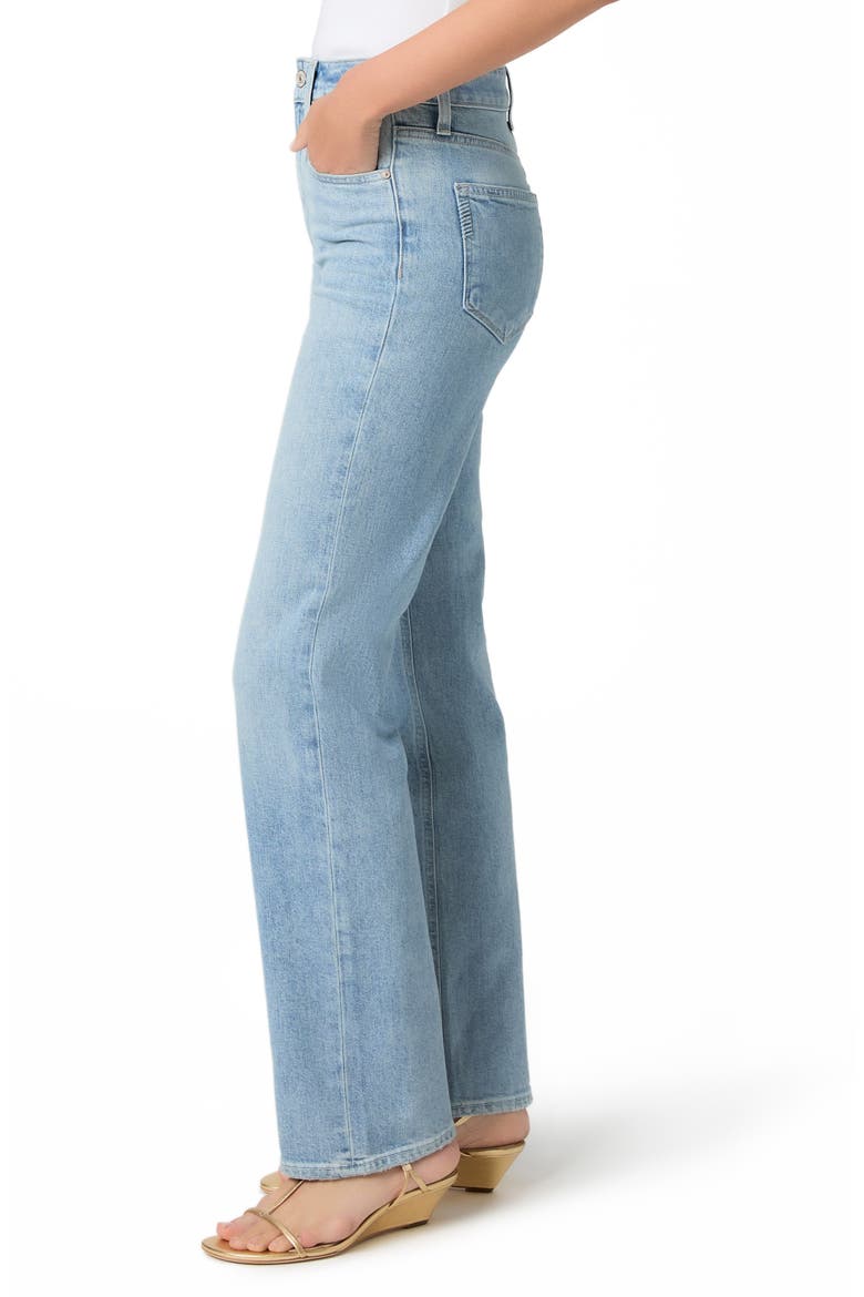 Stevie Straight Leg Jeans, Alternate, color, AUDUBON