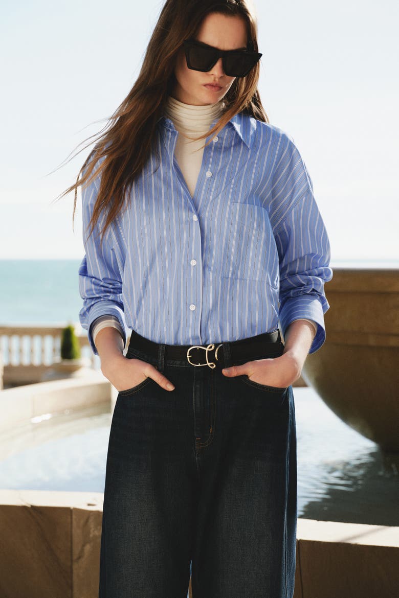 Oversized Poplin Shirt, Alternate, color, Blue/striped